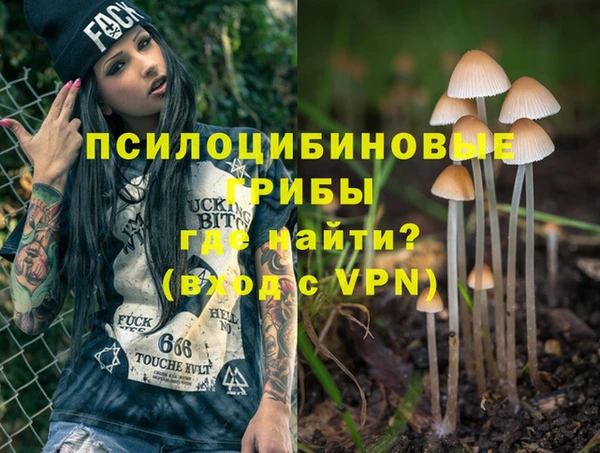 Альфа ПВП Алексин