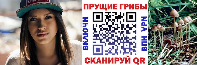 Псилоцибиновые грибы прущие грибы  где купить наркоту  Пойковский 