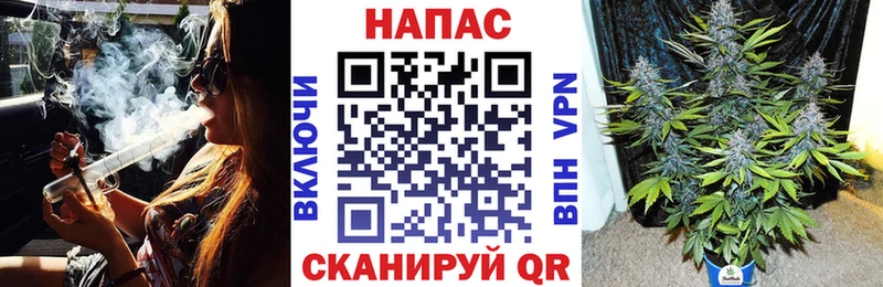 маркетплейс официальный сайт  Пойковский  Марихуана гибрид  где найти  